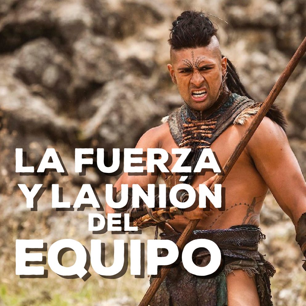 Ver Programa
