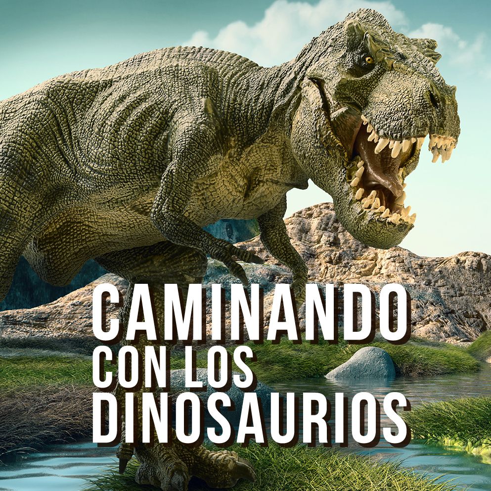 Ver Programa
